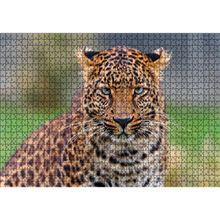 Cakatablo Genç Leopar 1000 Parça Puzzle