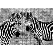 Cakatablo İki Sevimli Zebra Görseli 1000 Parça Puzzle