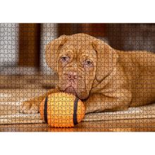 Cakatablo Kahverengi Boxer Yavrusu ve Turuncu Topu 1000 Parça Puzzle