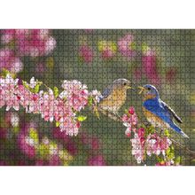 Cakatablo Kiraz Çiçekli Dalda Dişisini Besleyen Sevimli Kuş 1000 Parça Puzzle