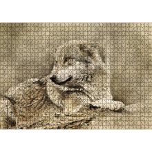 Cakatablo Kurt Eski Fotoğraf 1000 Parça Puzzle