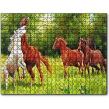 Cakatablo Özgür Atlar Ormanda Görseli 1000 Parça Puzzle