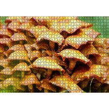 Cakatablo Sarı Mantarlar 1000 Parça Puzzle