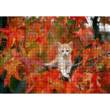Cakatablo Sonbaharda Çınar Yaprakları Arasındaki Yavru Kedi 1000 Parça Puzzle