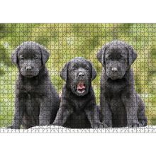 Cakatablo Üç Sevimli Siyah Yavru Köpek 1000 Parça Puzzle