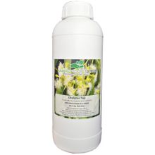 Çalıkoğlu Bitkisel Ürünler 1 kg Okaliptus Yağı