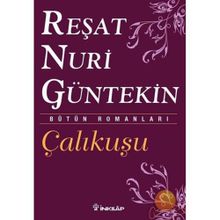 Çalıkuşu - Reşat Nuri Güntekin