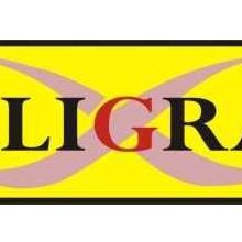 CALLIGRAPH CF313A KIRMIZI MUADİL TONER