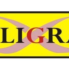 CALLIGRAPH CF403A KIRMIZI MUADİL TONER