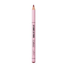 Callista Lip Candy 10 Trouble Cake Kırmızı Dudak Kalemi