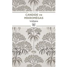 Candide ve Mikromegas - Voltaire