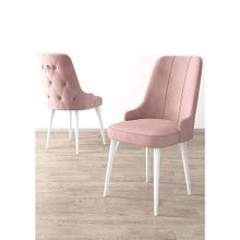 Canisa Concept Enoa Serisi Ceviz Gürgen Ayaklı 1.Sınıf Babyface Kumaş 1 Adet Gold Halkalı Pembe Sandalye