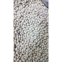 Canlar 1 kg Şeker Fasulye
