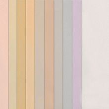 Canson 10'lu Pastel Tonlar 50x65 160 g Fon Kartonu