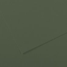 Canson Sh Canmt 50x65 cm 160 gr Pastel Dokulu GRN 448 10'lu Fon Kartonu