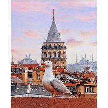Canvas Hobby Galata Kulesi ve Martı 40 x 50 cm Kasnaklı Sayılarla Boyama Seti Duvar Sticker