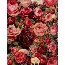 Canvas Hobby Gül Demeti Kasnaklı 40x50 cm Sayılarla Boyama Seti