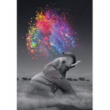 Canvas Hobby Kasnaklı 50 x 65 cm Renk Yağmuru ve Fil Sayılarla Boyama Seti