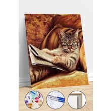 Canvas Hobby Keyfekeder Kedi Kasnaklı 40x50 cm Sayılarla Boyama Seti