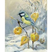 Canvas Hobby Kış ve Kuş Kasnaklı 50x65 cm Sayılarla Boyama Seti