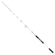 Captain 1426 Max 150 gr Atar Sea Bream Fisher 2 Parça Solid Tekne Kamışı