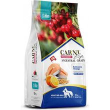 Carni Life Cranberry Somon ve Portakallı Mini Irk Yetişkin 2,5 KG Köpek Maması