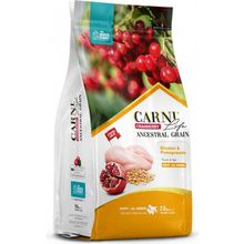 Carni Life Cranberry Tavuk ve Narlı 12 kg Yavru Köpek Maması