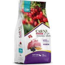 Carni Life Dog Puppy 2.5 kg Mini Kuzu Etli Bögürtlen Köpek Maması