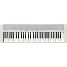 Casio CT-S1 61 Tuşlu Org