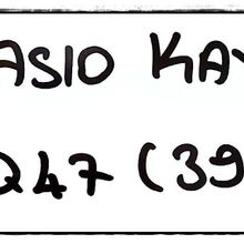 Casio Uyumlu AQ-47 Saat Kordonu