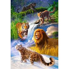 Castorland Büyük Kediler 1000 Parça Puzzle