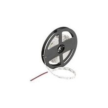 Cata CT-4488 10Ç G.Işığı 5 mt Dış Mekan LED Şerit