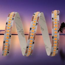 Cata CT-4538 Gold İç Mekan 12W 240 Çipli Şerit Günışığı Led Aydınlatma