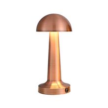 Cata CT-8430 Bronz Dokunmatik Şarjlı Masa Lambası