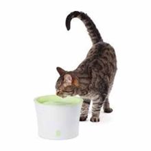 Catit Filtreli Otomatik Kedi Su Kabı 3 lt
