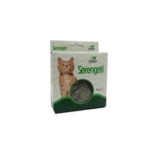 Catnip Kedi Nanesi