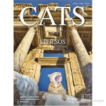 CATS OF EPHESOS - SABINE LANDSTATTER ;LOIS LAMMERHUBER;NIKI GAIL