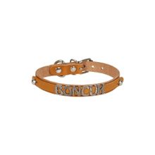 Cattie 1.2 x 25-29 cm Camel İsimlikli Deri Kedi Boyun Tasması