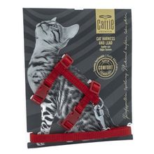 Cattie Kırmızı 1x25-40 cm Kedi Göğüs Gezdirme Takımı