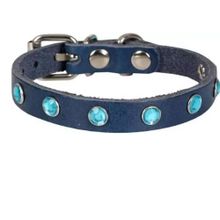 Cattie Taşlı Deri Royal Mavi 1.2x23-28 cm Kedi Tasması