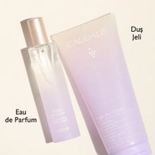 Caudalie Ange Des Vignes Ikili Parfüm Seti Parfüm 50 ml Dudak Bakım Kremi