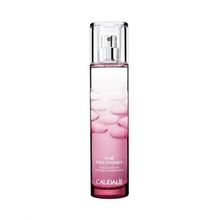 Caudalie Des Vignes 100 ml Aromalı Parfüm