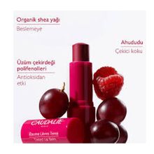 Caudalie Vinotherapist 4.5 gr Renkli Dudak Nemlendiricisi