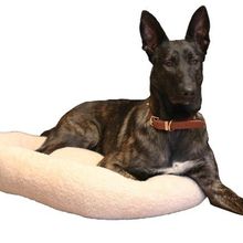 CecePet Chips Serisi Medium 70x70 cm Kedi ve Köpek Yatağı