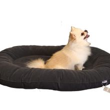 CecePet Leo Serisi Small 80x60 cm Kedi ve Köpek Yatağı