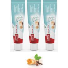 Cemil Efendi Misvak Özlü Karanfil Sulu 3x100 ml Diş Macunu