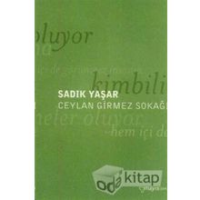 CEYLAN GIRMEZ SOKAĞI - SADIK YAŞAR