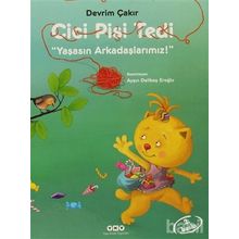 CICI PISI TEDI - DEVRIM ÇAKIR