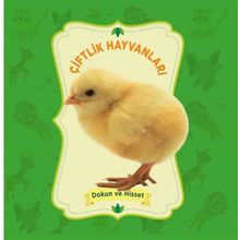 Çiftlik Hayvanları Dokun ve Hisset - Kolektif - 0-6 Yaş Yayınları
