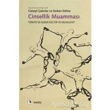 CINSELLIK MUAMMASI TÜRKİYE'DE QUEER KÜLTÜR VE MUHALEFET - CÜNEYT ÇAKIRLAR;SERKAN DELICE
